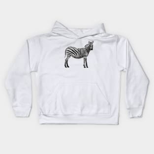 Zebra - Cute Zebra Kids Hoodie